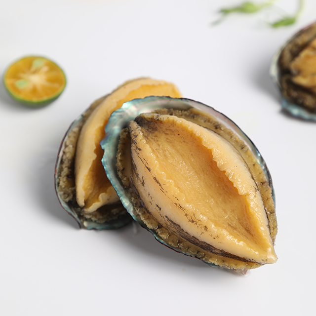 Yuan Jiang Abalone